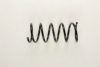 FORD 7354144 Coil Spring